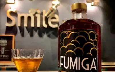 Diversità e Tipologie di Vermouth