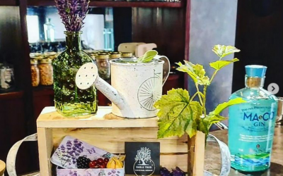 Alla scoperta dei distillati italiani con “Spirits in vetrina”: un’esperienza firmata Smile Tree